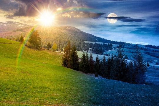 mountain scenery with coniferous forest. day meet night. sun and moon over countryside landscape with grassy fields and rolling hills. springtime rural area under cloudy sky. epic outdoor adventure
