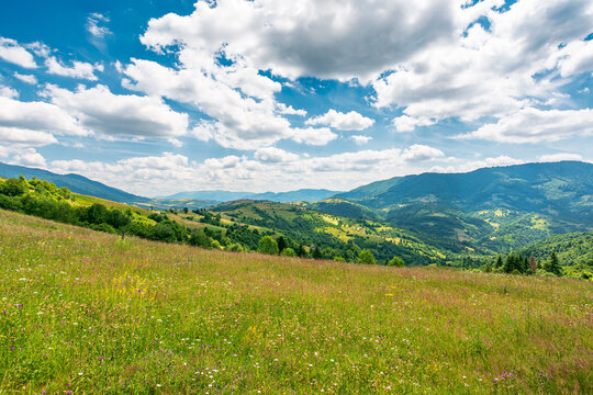 mountain landscape with grassy field. trees on the rolling hills and rural valley beneath a blue sky with clouds in the background. view of carpathian mountains green environment in summer