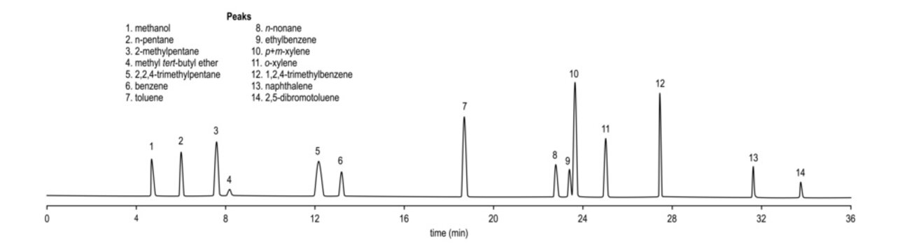 Chromatogram of methanol, pentane, methylpentane, butyl, ether, benzene, toluene, nonane, xylene, naphtalene