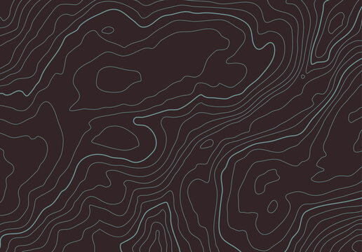 Topographic map background with altitude lines. Abstract terrain topography with elevation levels of the relief