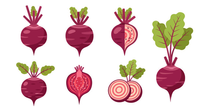 Beetroot Pattern Images – Browse 30,333 Stock Photos, Vectors, and ...
