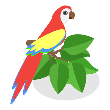 3D Isometric Flat Vector Illustration of Brazil, Explore The Rich Culture And Landmarks. Item 3
