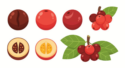 Vibrant coffee bean and berry illustrations © Hype
