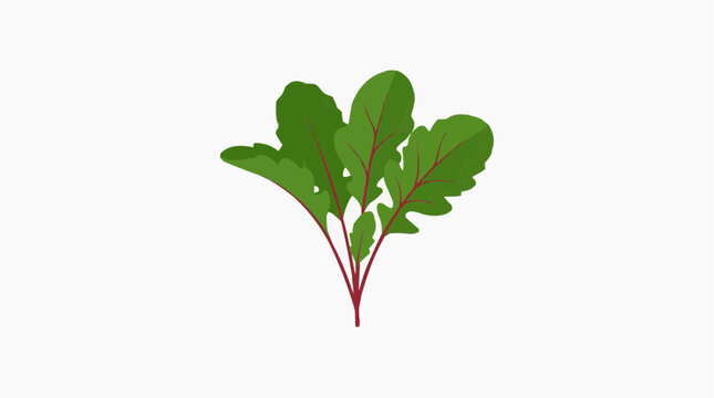 Fresh, vibrant green beet greens, their leaves spread out in a visually appealing arrangement, inviting healthy choices.