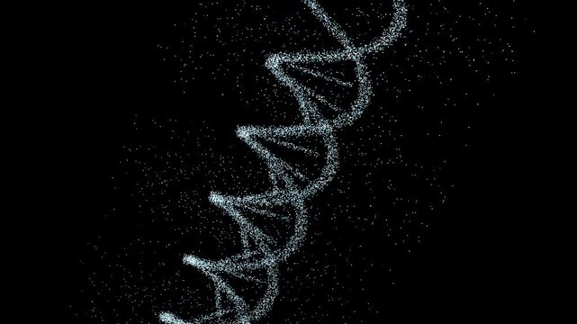 Synthetic DNA Helix : Iso Orbit