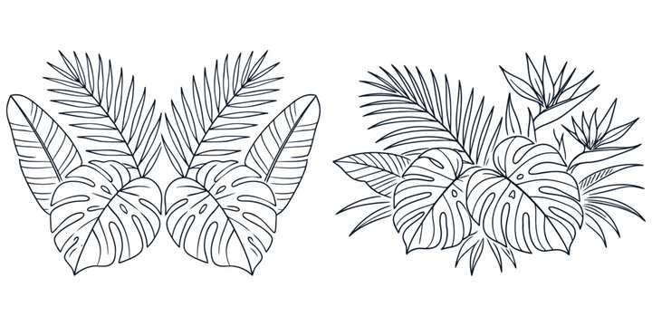 Minimal Tropical Leaf Line Art Collection with Monstera Palm Banana and Exotic Botanical Foliage