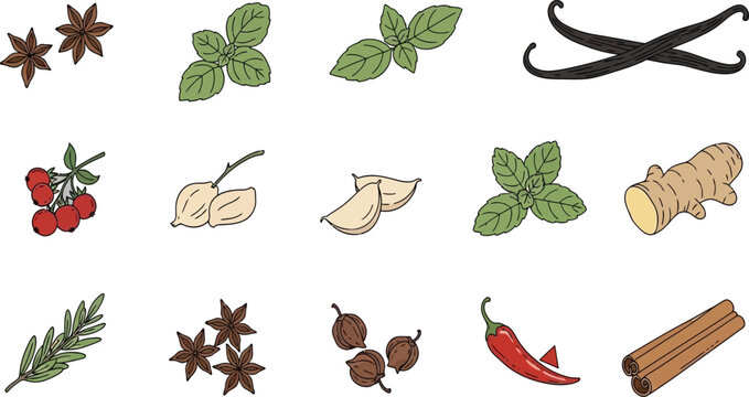 Illustrated set of common herbs and spices icons Vector