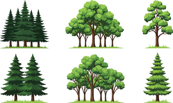 Six different types of stylized trees illustration Vector