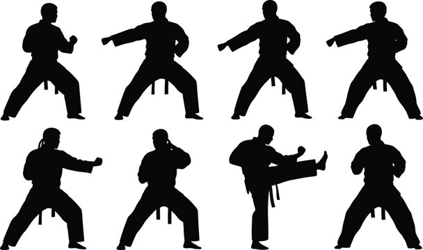 Martial arts silhouette series dynamic poses of a kung fu practitioner