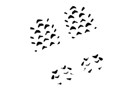 Hand painted black ink spots resembling abstract animal print isolated 
