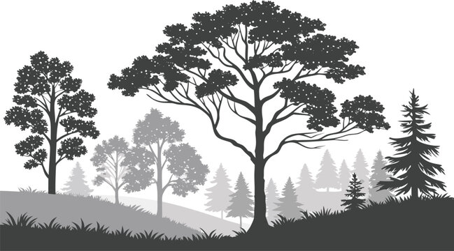 Layered Forest Landscape Black and White Vector with Tree Seamless Nature Pattern Background