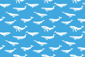 Blue Whale Seamless Pattern with White Whale Illustrations on Ocean Blue Background © Levin