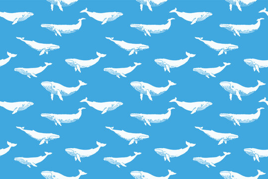 Blue Whale Seamless Pattern with White Whale Illustrations on Ocean Blue Background