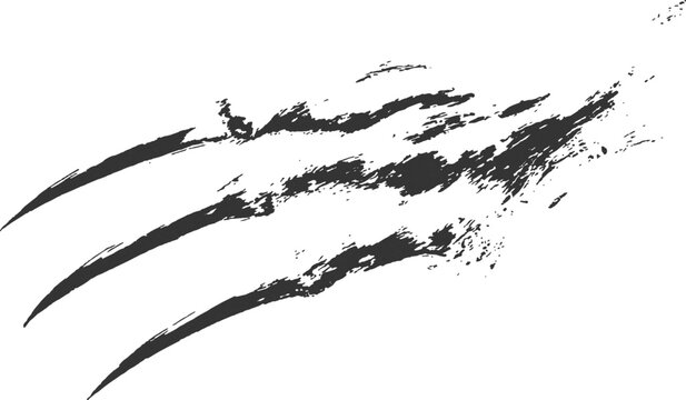 Distressed black claw scratch marks vector illustration with grunge texture isolated on white background.