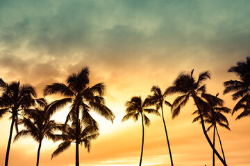 Obraz premium Palm Trees Against Colorful Sunset Sky Tropical Vacation Scene