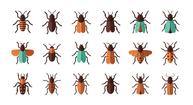 Various insect illustrations on white background