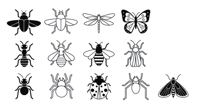 Various insect silhouettes on white background