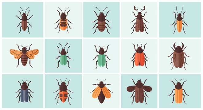 Various insects collection on light green background