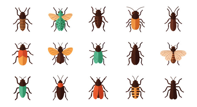 Various insects in flat style illustration