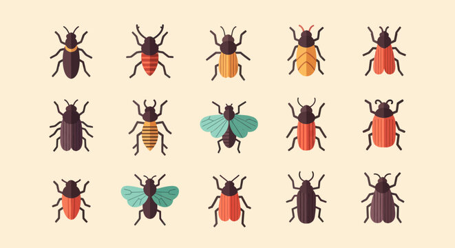 Various insects in vector graphic style