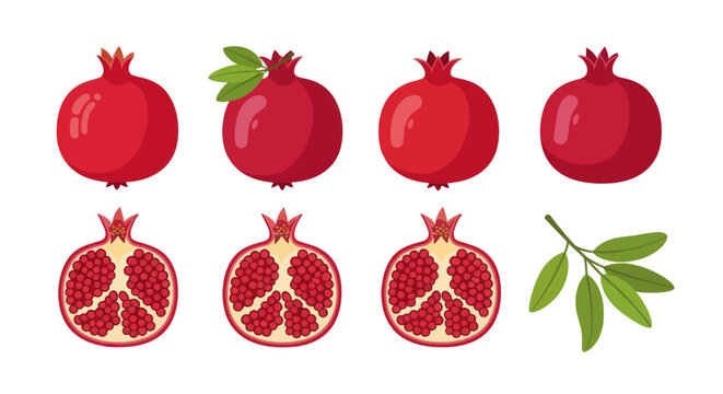 Vibrant pomegranate illustrations on white background