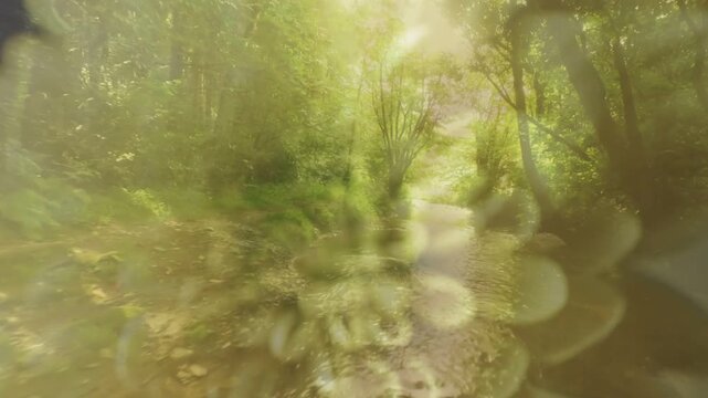 Sunlit opening pulling camera forward along creek, bokeh disks appearing, seeking bright clearing