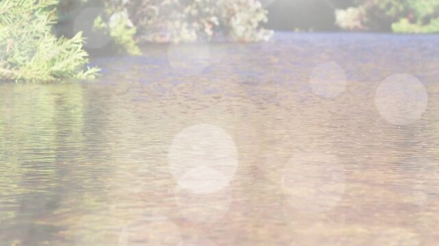 Diagonal wipe starting reveal, bokeh fading down, water ripples focusing to show bank reflections