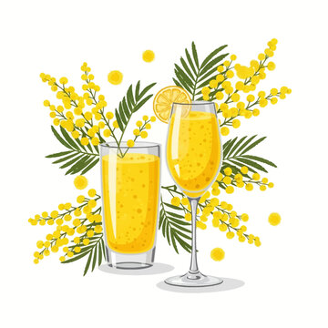 Vector illustration of two glasses of yellow mimosa cocktail garnished with an orange slice, surrounded by yellow blooming mimosa acacia flowers and green leaves on a white background.