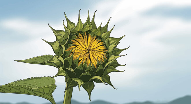Detailed vector illustration of a blooming sunflower bud with green pointed bracts opening to reveal yellow petals, set against a soft blue sky and distant mountain horizon.
