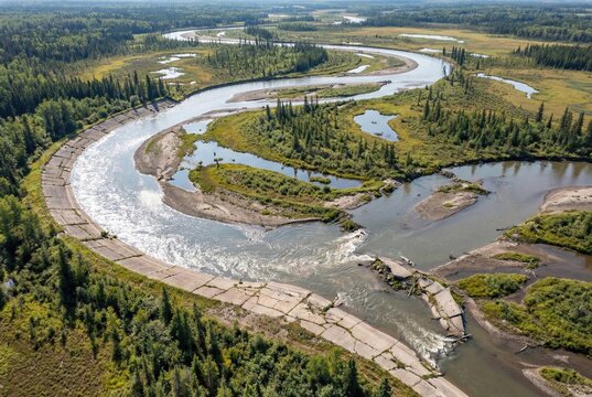 Aerial view of a rewilding river breaking out of concrete channels to restore its natural path