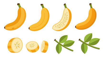 Ripe bananas vector illustration © Insto