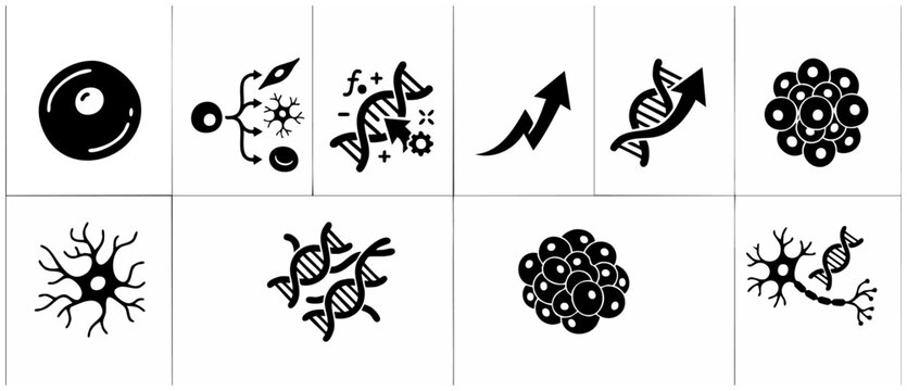 Stem Cell Biology Icons Set, DNA Editing and Cell Differentiation Vector Symbols for Scientific Research, Medical Technology and Genetic Engineering Diagrams, Monochrome Flat Graphical Illustrations.