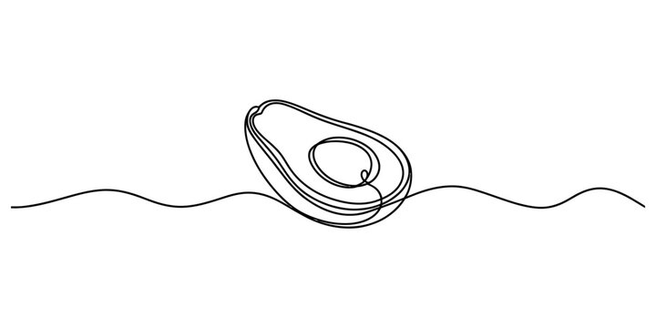 Continuous single line drawing of a fresh avocado half with pit showing organic healthy fruit food style for modern kitchen art decor Vector, illustration
