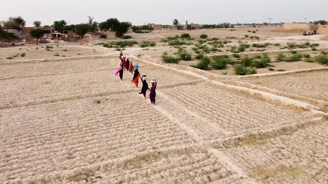 Aerial View of Women Working in Agricultural Fields with Dry Terrain