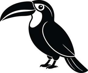 Fototapeta premium Toucan tropical bird jungle animal vector graphic