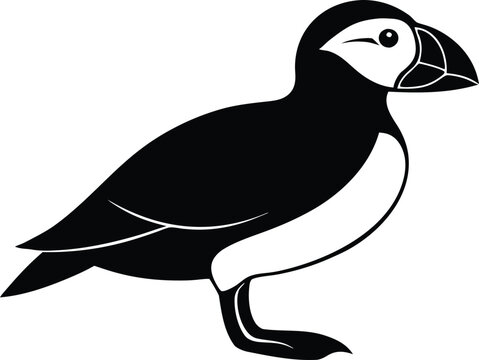 Puffin bird seabird icon wildlife illustration