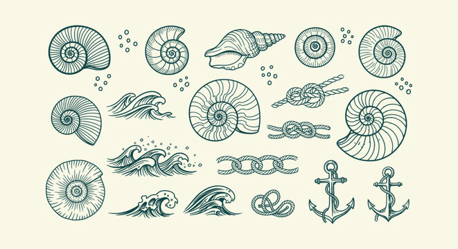 Vintage Nautical Set with Hand-drawn Seashells, Anchors, Ocean Waves and Rope Knots Illustration