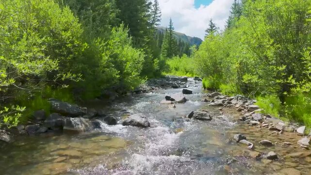 Mountain Creek Flowing Through Lush Forest with Clear Water and Rocky Streambed