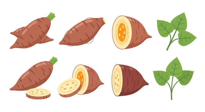 Sweet potatoes food illustration
