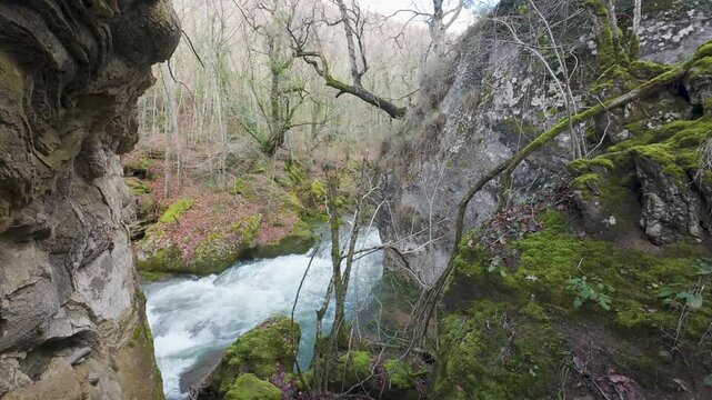 Rushing river flowing through mossy canyon in autumn forest