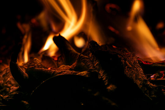 Burning dry leaves with cold blue and warm orange flames contrast in dramatic dark macro close-up photography