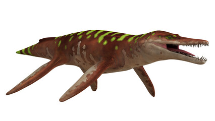 Prehistoric marine reptile illustration. © Ilie