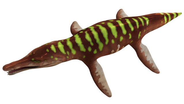 Colorful dinosaur toy with green spots.