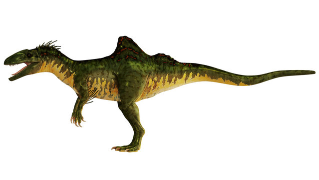 Illustrated dinosaur with distinctive sail-like back.