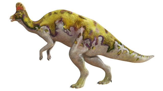 Detailed illustration of a Parasaurolophus dinosaur.