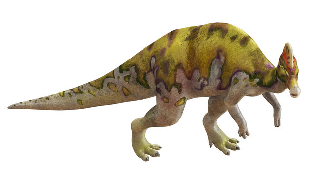 Realistic dinosaur model on white background