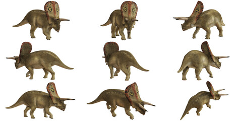 Triceratops dinosaur in various poses © Ilie