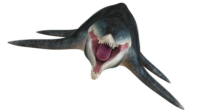 Fierce prehistoric sea creature display
