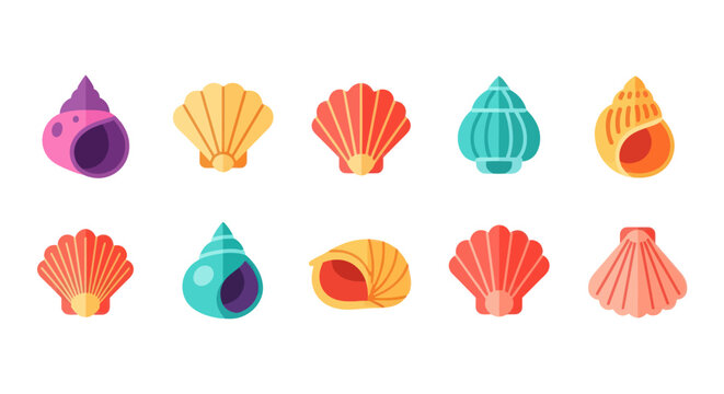 Colorful seashell collection on white background