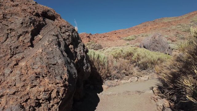 Trail past Huevos del Teide